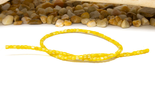 Natural Shell Yellow Dyed 3.5mm Polished Drum