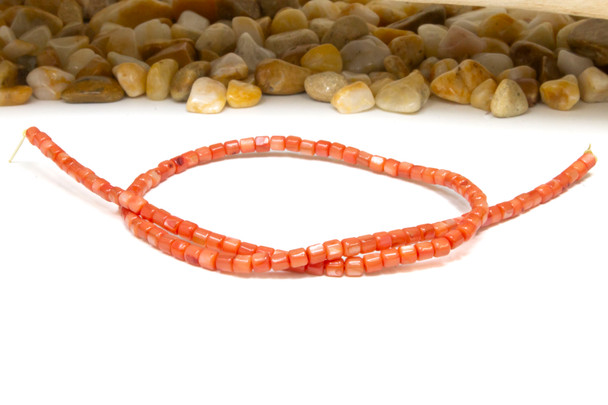 Natural Shell Coral Dyed 3.5mm Polished Drum