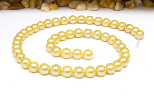 South Sea Shell Pearl Golden 8mm Round
