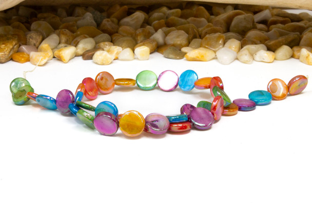 Natural Shell Multi Colored Dyed 6mm Polished Coin