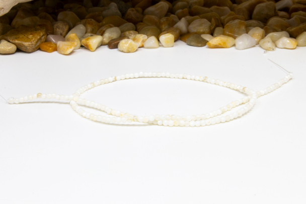 Natural Shell 2.5mm Polished Round