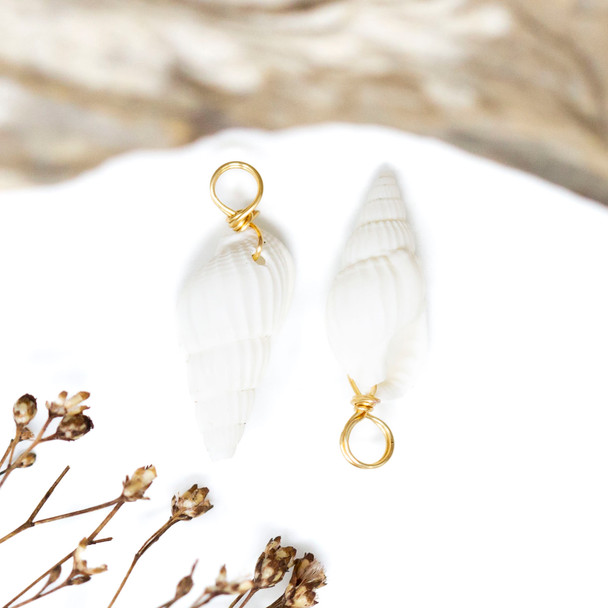 Gold  Wrap Spiral Shell Pendant