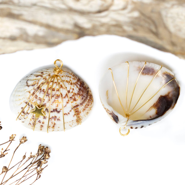 Clam Shell 33x28mm Wrapped with Gold Star Pendant