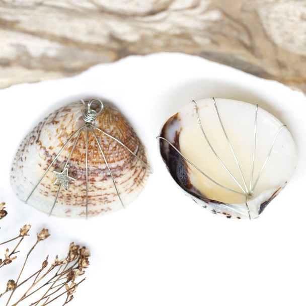 Clam Shell 33x28mm Wrapped with Silver Star Pendant