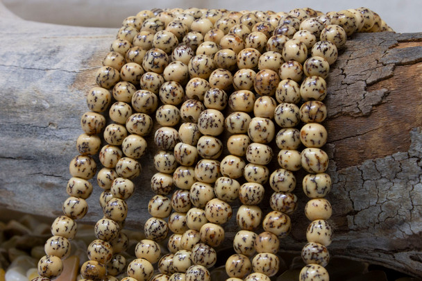Salwag Polished 8mm Round