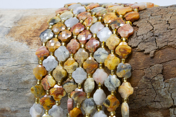 Crazy Lace Agate Polished 8mm Faceted Clover / Quatrefoil