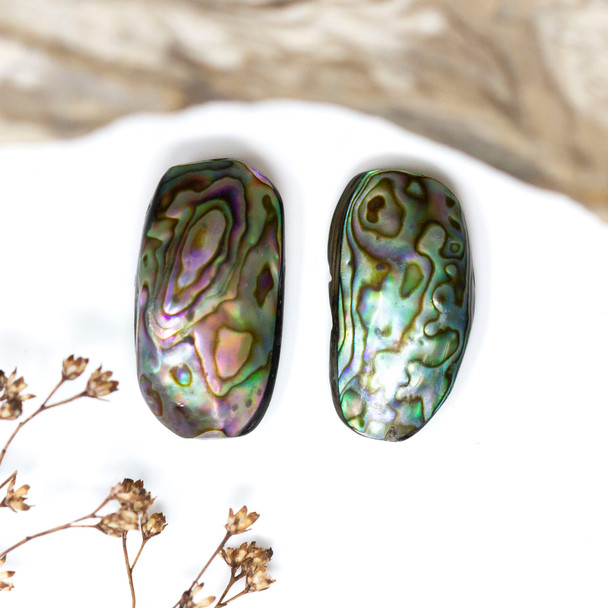 Abalone Polished 13-15x25-28mm Full Shell Bead
