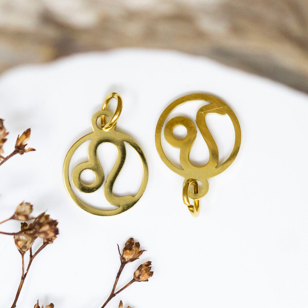 Gold Plated Stainless Steel 11mm Leo Zodiac Charm