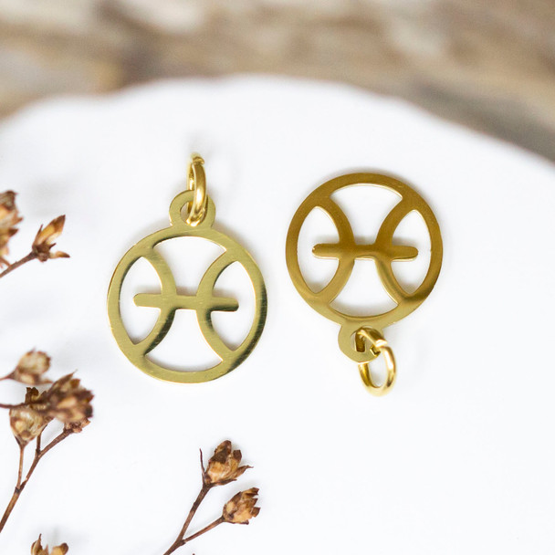 Gold Plated Stainless Steel 11mm Pisces Zodiac Charm