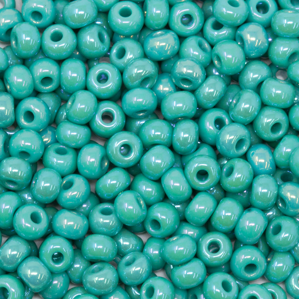Size 6 Czech Seed Beads -- 496 Green Turquoise Rainbow