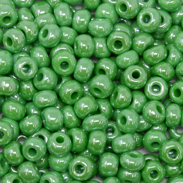 Size 6 Czech Seed Beads -- 752 Dark Apple Green Luster