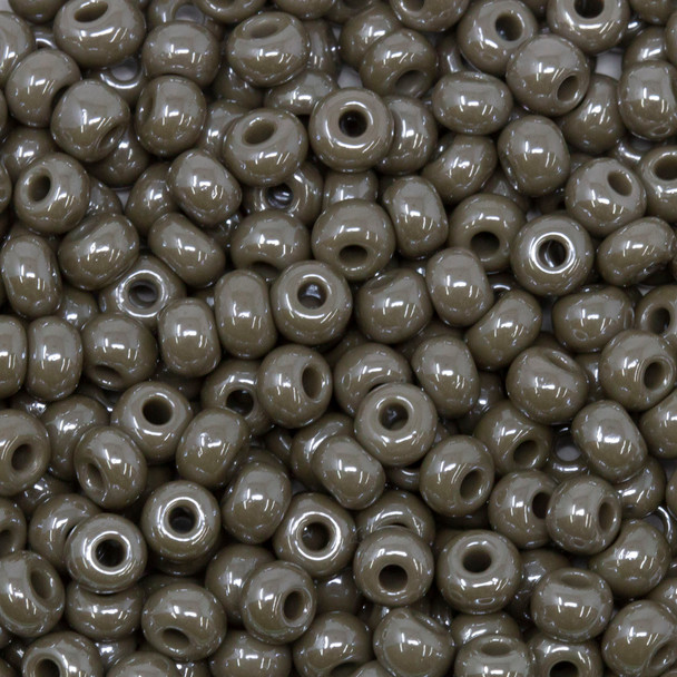 Size 6 Czech Seed Beads -- 1 Grey Luster