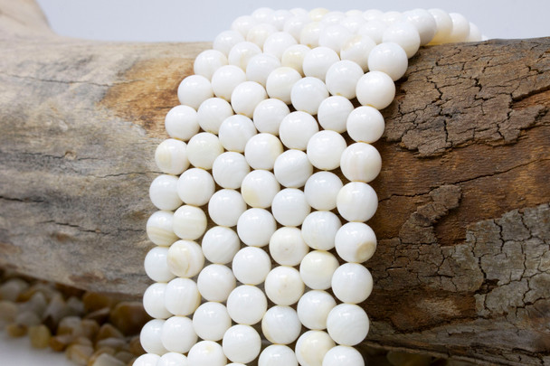 Natural Shell 8mm Polished Round