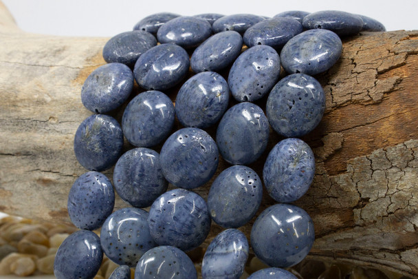 Natural Blue Coral Polished 18mm Coin