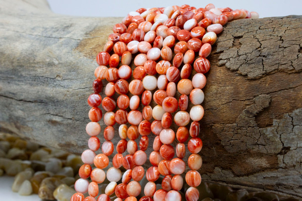 Spiny Oyster Polished 6mm Orange / Peach Puffy Coin