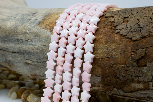 Pink Queen Conch A Grade Polished 8mm Star