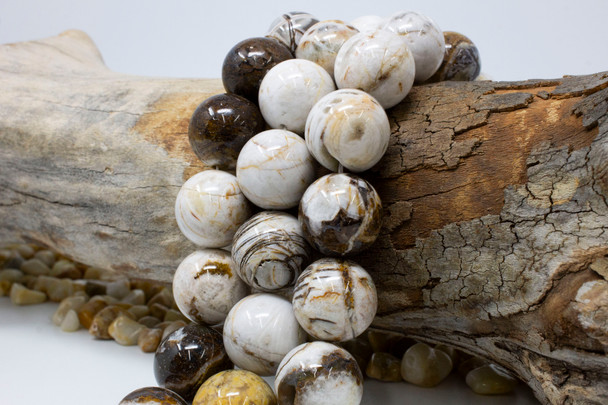 Petrified Wood Polished 20mm Round