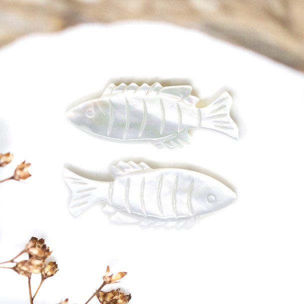 Mother of Pearl A Grade Polished 10x25mm Fish Bead