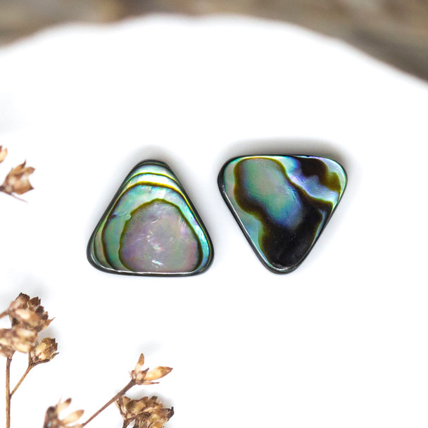 New Zealand Abalone Polished 10mm Triangle Bead