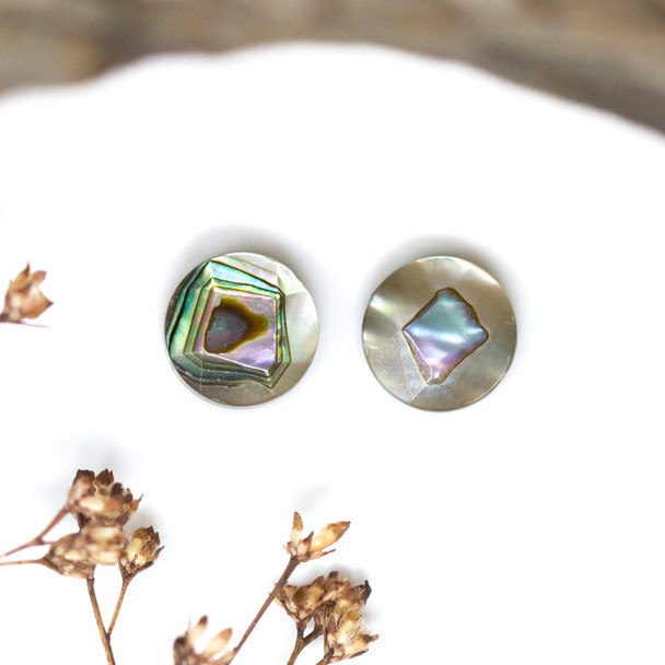 Abalone Polished 8mm Faceted Coin Bead