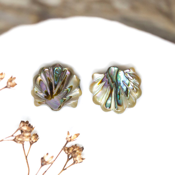 Abalone Polished 12mm Scallop Shell Bead