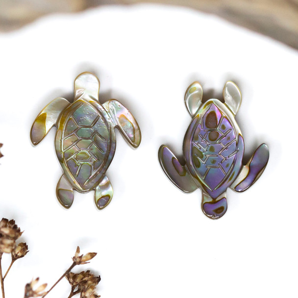 Abalone Polished 20x16mm Turtle Bead