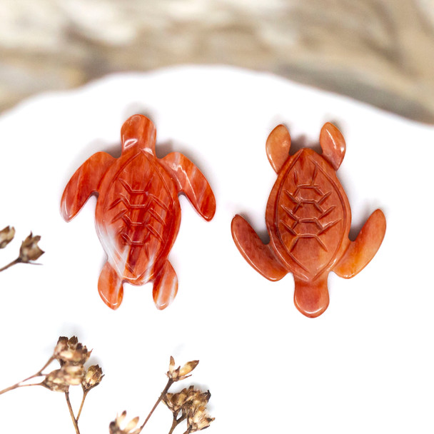 Spiny Oyster Polished 16x20mm Orange / Peach Turtle Bead