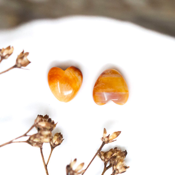 Spiny Oyster Polished 6mm Orange Heart Bead