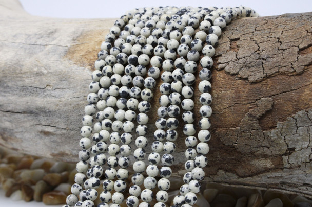 Dalmatian Jasper Polished 4mm Round