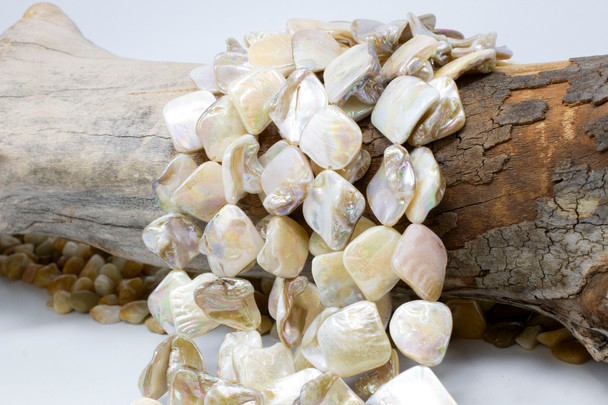 Natural Shell 15-23mm AB Plated Polished Beige Diamond