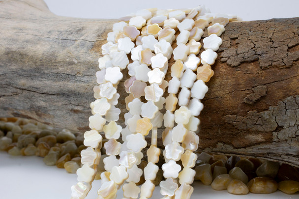 Natural Shell 8mm Polished Flower