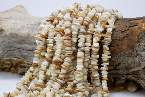 Natural Shell 6-9mm Polished Chips