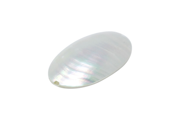 Nautilus Polished 15x28mm Oval Bead
