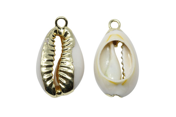 Cowrie Shell Polished Gold Plated 12x22-15x24mm Charm