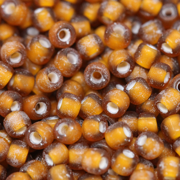 Size 8 Matsuno Seed Beads -- F327D Root Beer / White Lined Matte