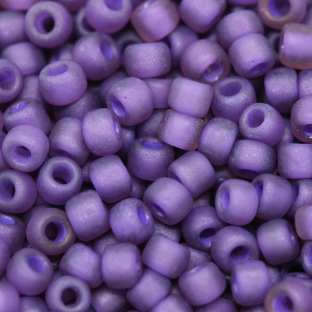 Size 8 Matsuno Seed Beads -- F399I Purple / Grape Lined Matte