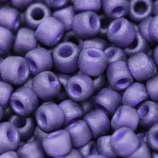 Size 6 Matsuno Seed Beads -- F399J Amethyst / Dark Purple Lined Matte