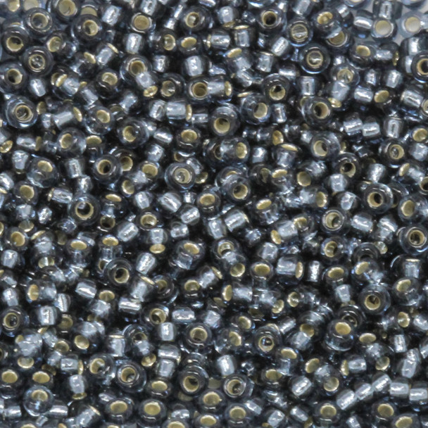 Size 11 Miyuki Seed Beads -- 21D Blue Grey / Silver Lined