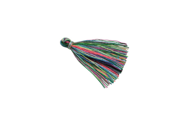 Multi Color 1 Inch Tassel