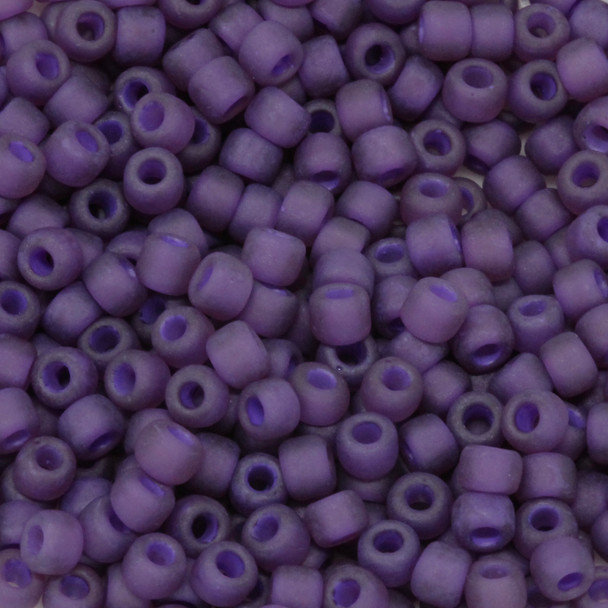 Size 6 Matsuno Seed Beads -- F399I Purple / Grape Lined Matte