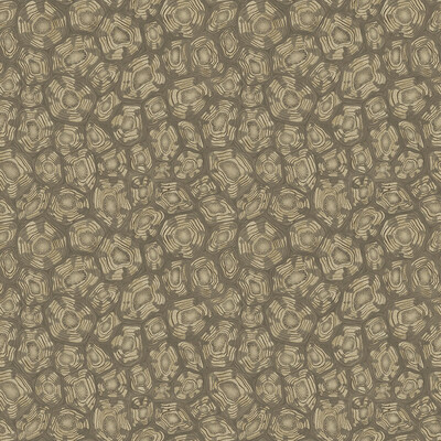 Cole & Son Wallcovering Savanna Shell Gilver My Fabric Connection