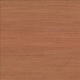 Kasmir Fabric Anantara Burnt Orange 5059 100% Polyester INDIA 30,000 Wyzenbeek Double Rubs H: N/A, V: N/A 55 - 56 - My Fabric Connection - Kasmir