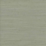 Kasmir Fabric Anantara Silver Sage 5059 100% Polyester INDIA 30,000 Wyzenbeek Double Rubs H: N/A, V: N/A 55 - 56 - My Fabric Connection - Kasmir