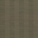 Kasmir Fabric Anantara Stripe Latte 5059 100% Polyester INDIA 30,000 Wyzenbeek Double Rubs H: 2 6/8 inches, V: N/A 55 - 56 - My Fabric Connection - Kasmir
