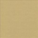 Kasmir Fabric Auberge Gold 5055 100% Polyester TAIWAN 100,000 Wyzenbeek Double Rubs H: N/A, V: N/A 59 - 60 - My Fabric Connection - Kasmir