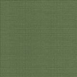 Kasmir Fabric Aziza Grass 5099 55% Rayon 45% Polyester CHINA 50,000 Martindale Cycles H: N/A, V: N/A 55 - 58 - My Fabric Connection - Kasmir