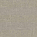 Kasmir Fabric Brigadoon Cement 5048 55% Linen 45% Rayon CHINA 12,000 Wyzenbeek Double Rubs H: N/A, V:N/A 54 - 55 - My Fabric Connection - Kasmir