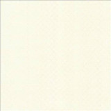 Kasmir Fabric Diamond Daze Ivory 5083 78% Polyester 22% Viscose INDIA 9,000 Wyzenbeek Double Rubs H: 7/8 inches, V: 7/8 inches 53 - My Fabric Connection - Kasmir