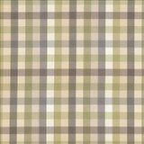 Kasmir Fabric Dupuy Check Grey Garden 5078 53% Cotton 47% Polyester TAIWAN 12,000 Wyzenbeek Double Rubs H: 13 4/8 inches, V: 13 4/8 inches 55 - My Fabric Connection - Kasmir