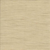 Kasmir Fabric G250 Honey 1312 75% Polyester 25% Viscose INDIA Not Tested H: N/A, V: N/A 54 - My Fabric Connection - Kasmir